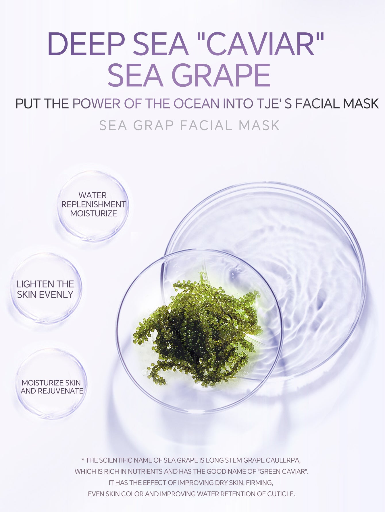 TJE Sea Grape Mask